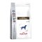 Роял Канин (Royal Canin) Intestinal GI 25 сух.для собак при нарушении пищеварения 2кг+0,5кг