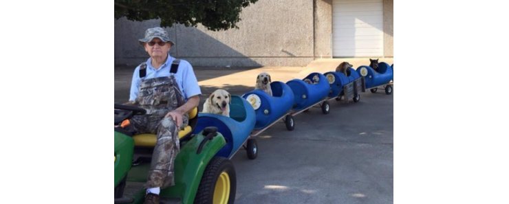Американец построил поезд для бездомных собак