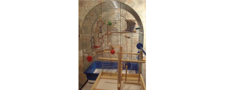 Оборудование клетки для попугаев