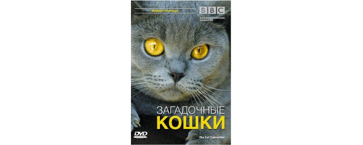 Загадочные кошки / The Cat Connection (ВВС/2002)