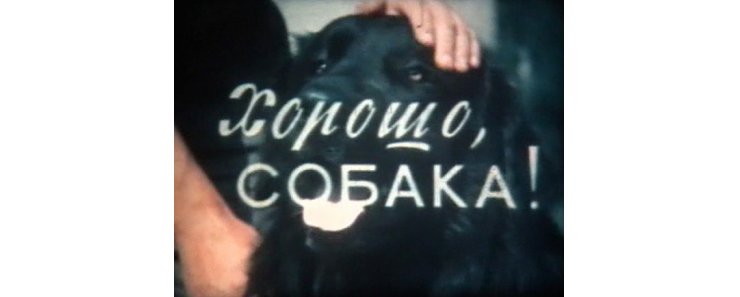 Хорошо, собака! (1977)