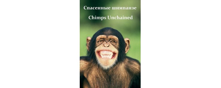 Спасенные шимпанзе / Chimps Unchained (National Geographic/2006)