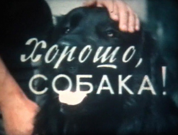 Хорошо, собака! (1977)