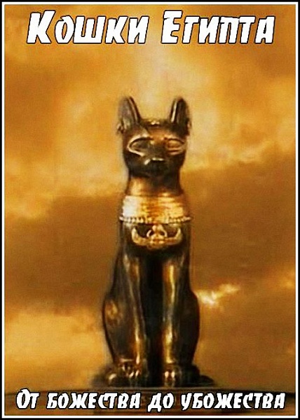 Кошки Египта. От божества до убожества / The Cats of Egypt (2004)